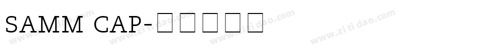 samm cap字体转换